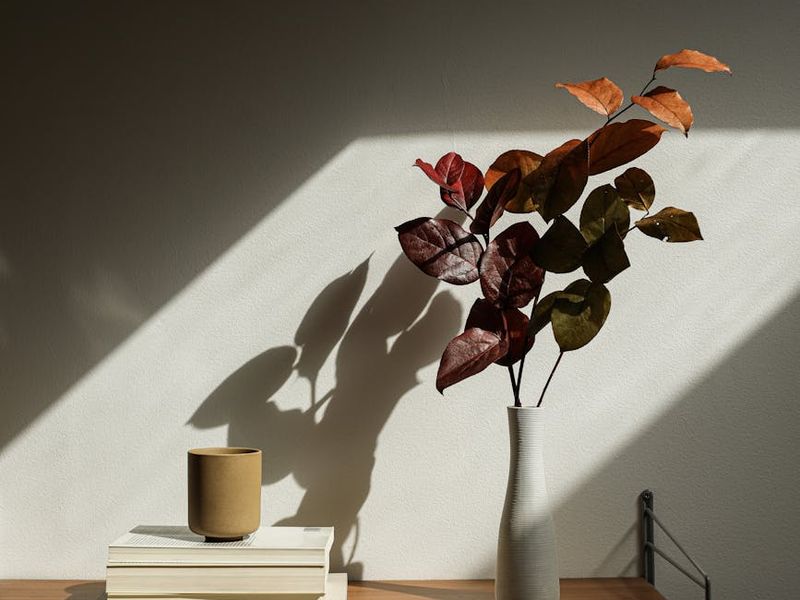 Clean minimalist interior with soft shadows and light.