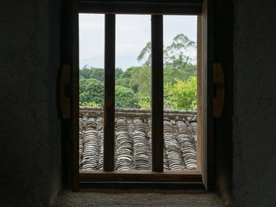 Open window with a view of green trees.
